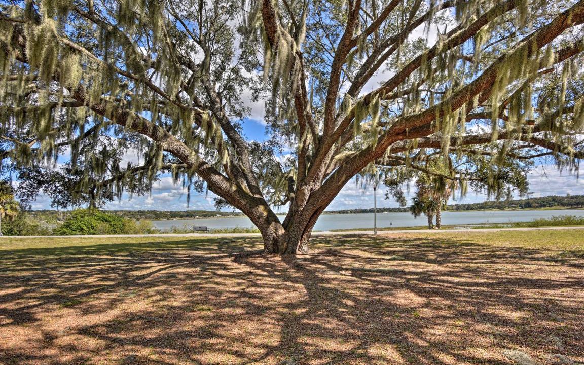 Photo of Others in Lake Wales