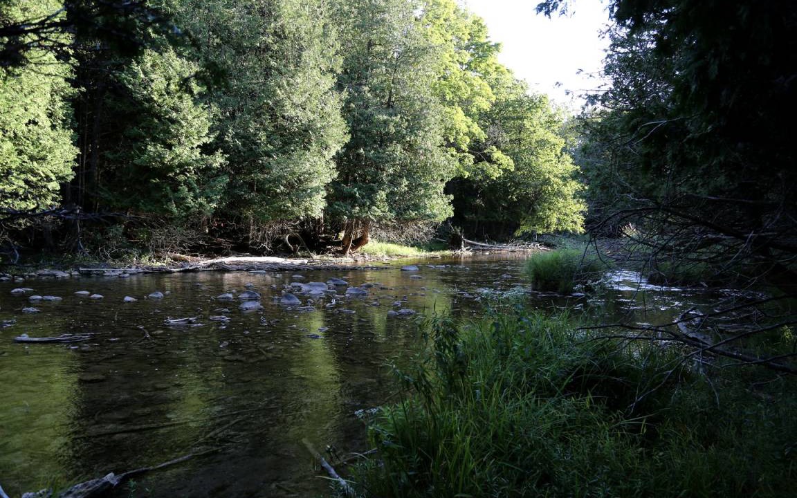 Photo of Others in Markdale