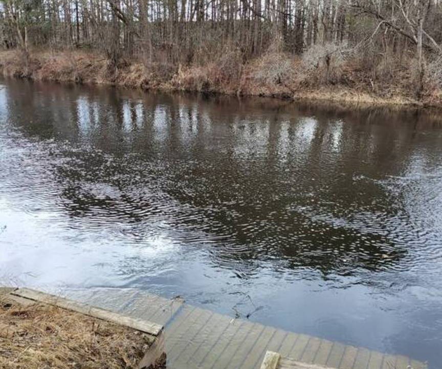 Photo of Others in Kawartha Lakes