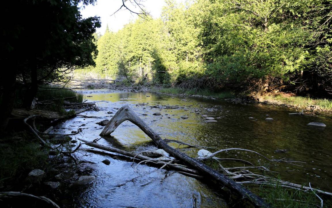 Photo of Others in Markdale