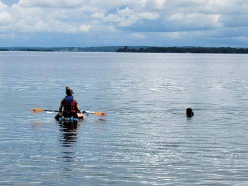 Photo of Others in Howe Island