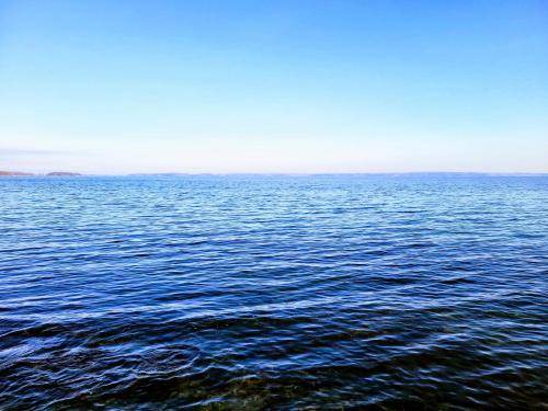 Photo of Others in Howe Island