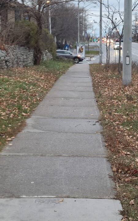 Photo of Others in Harwood