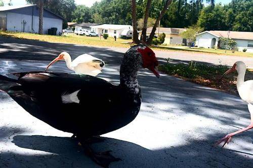 Photo of Others in Lakeland