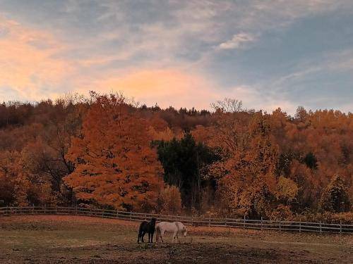 Photo of Others in Grey Highlands