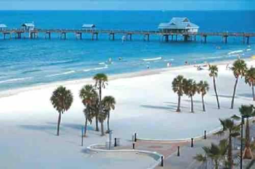 Photo of Others in Clearwater
