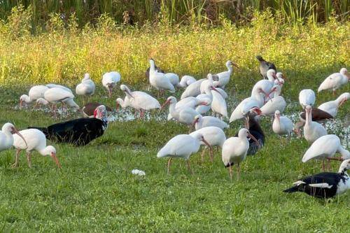 Photo of Others in Lakeland