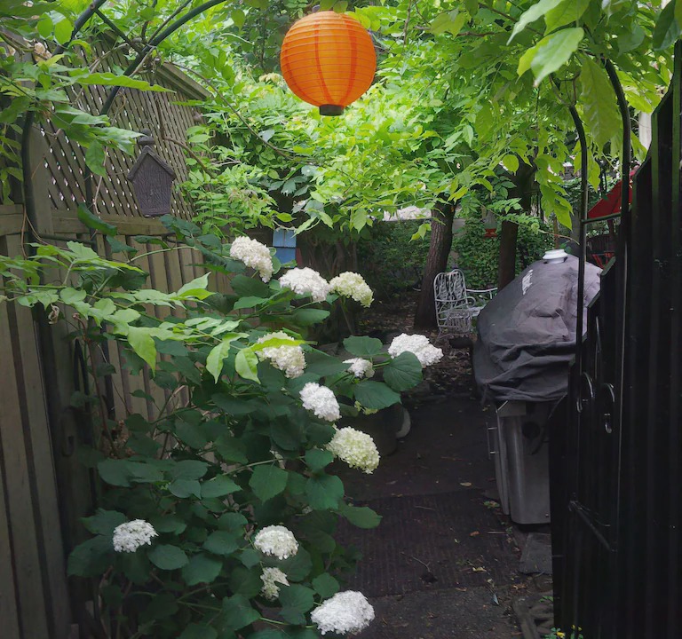 Photo of Patio Balcony in Cabbagetown South