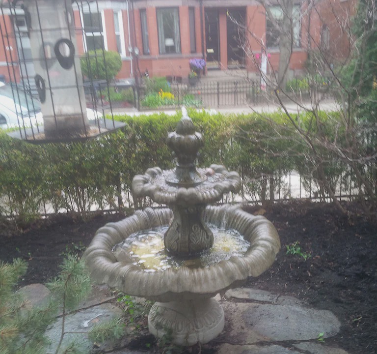 Photo of Others in Cabbagetown South