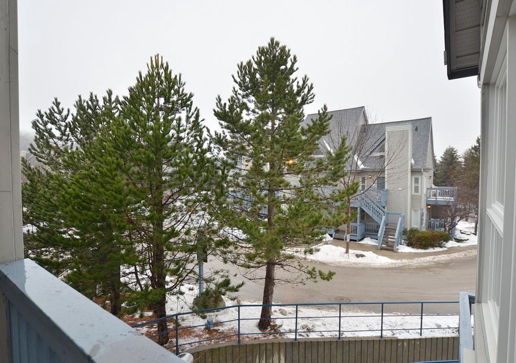 Photo of Others in Craigleith