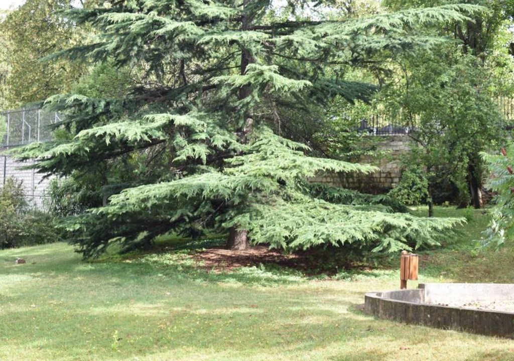 Photo of Outdoor in Pere Lachaise