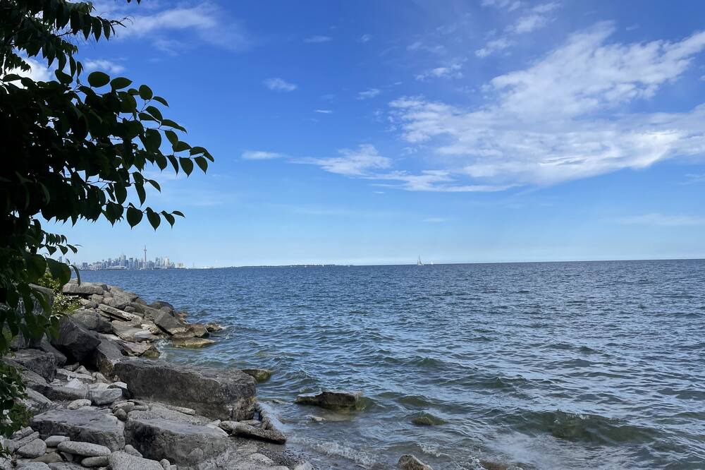 Photo of Others in New Toronto