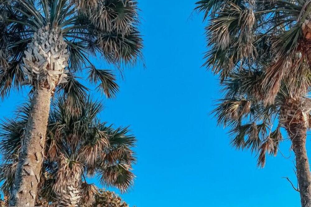 Photo of Outdoor in Pinehurst