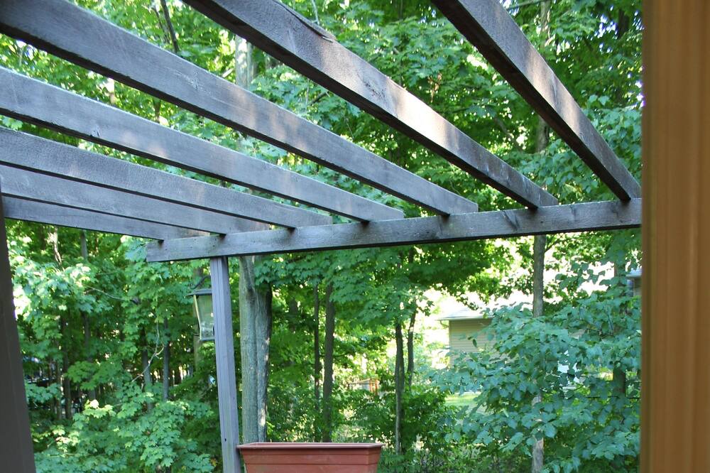 Photo of Patio Balcony in Tiny