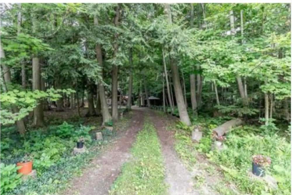 Photo of Outdoor in Innisfil