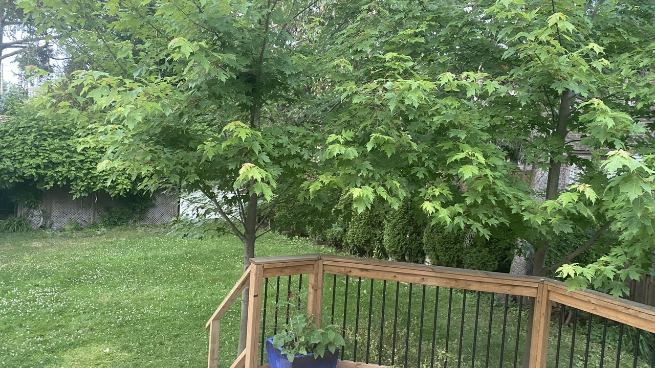 Photo of Outdoor in Lakeview