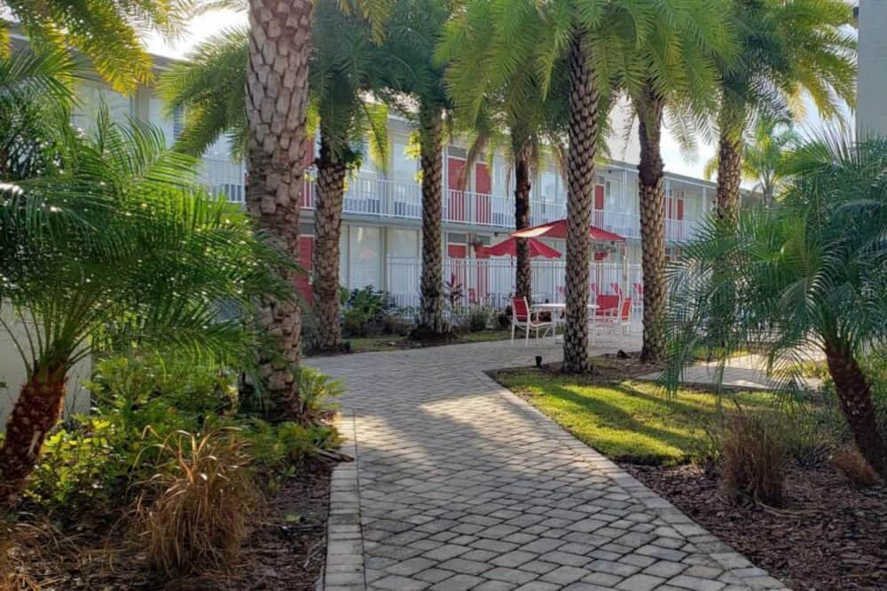 Photo of Outdoor in June Park