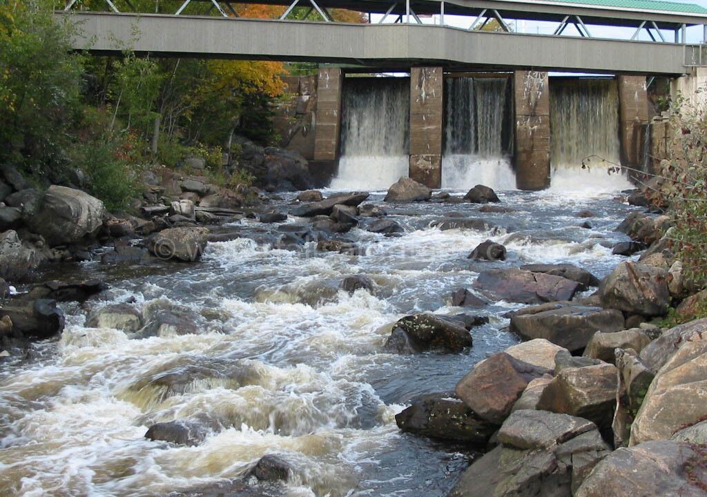 Photo of Others in Magnetawan