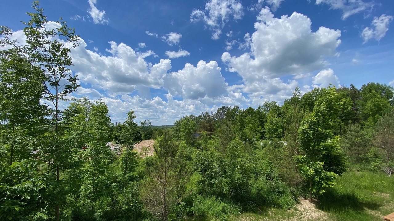 Photo of Outdoor in Grey Highlands