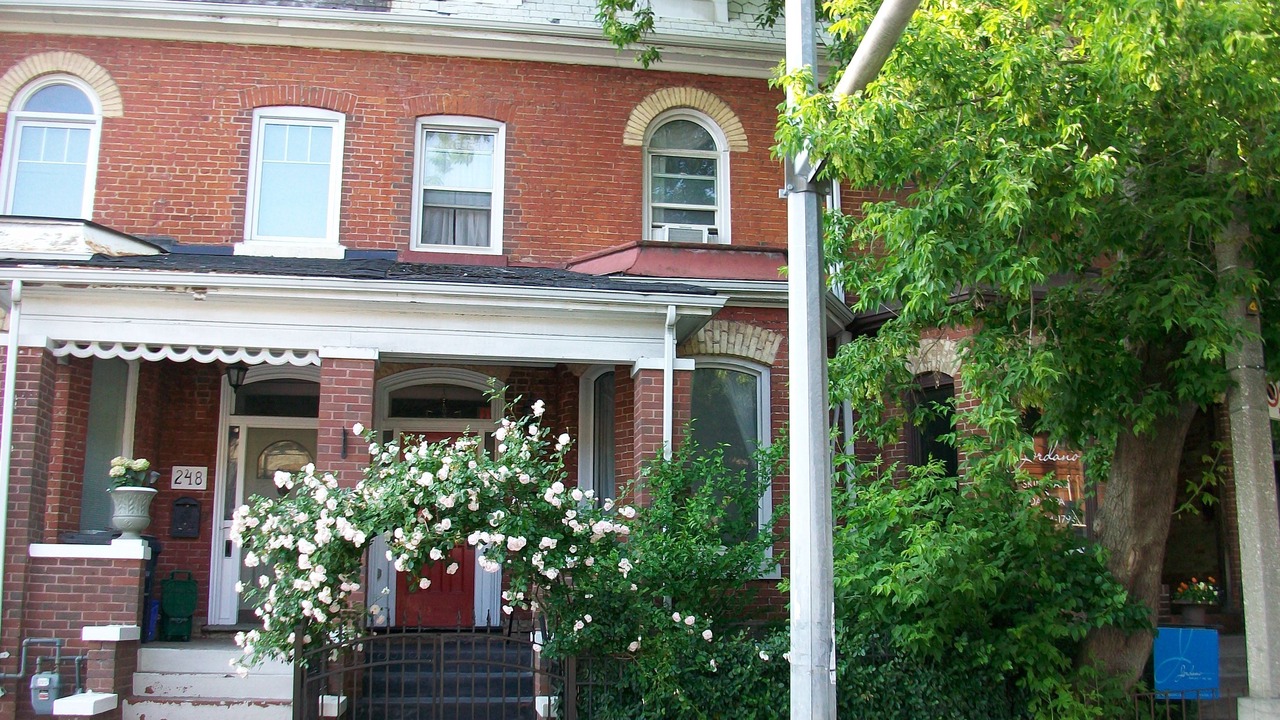 Photo of Outdoor in Cabbagetown South