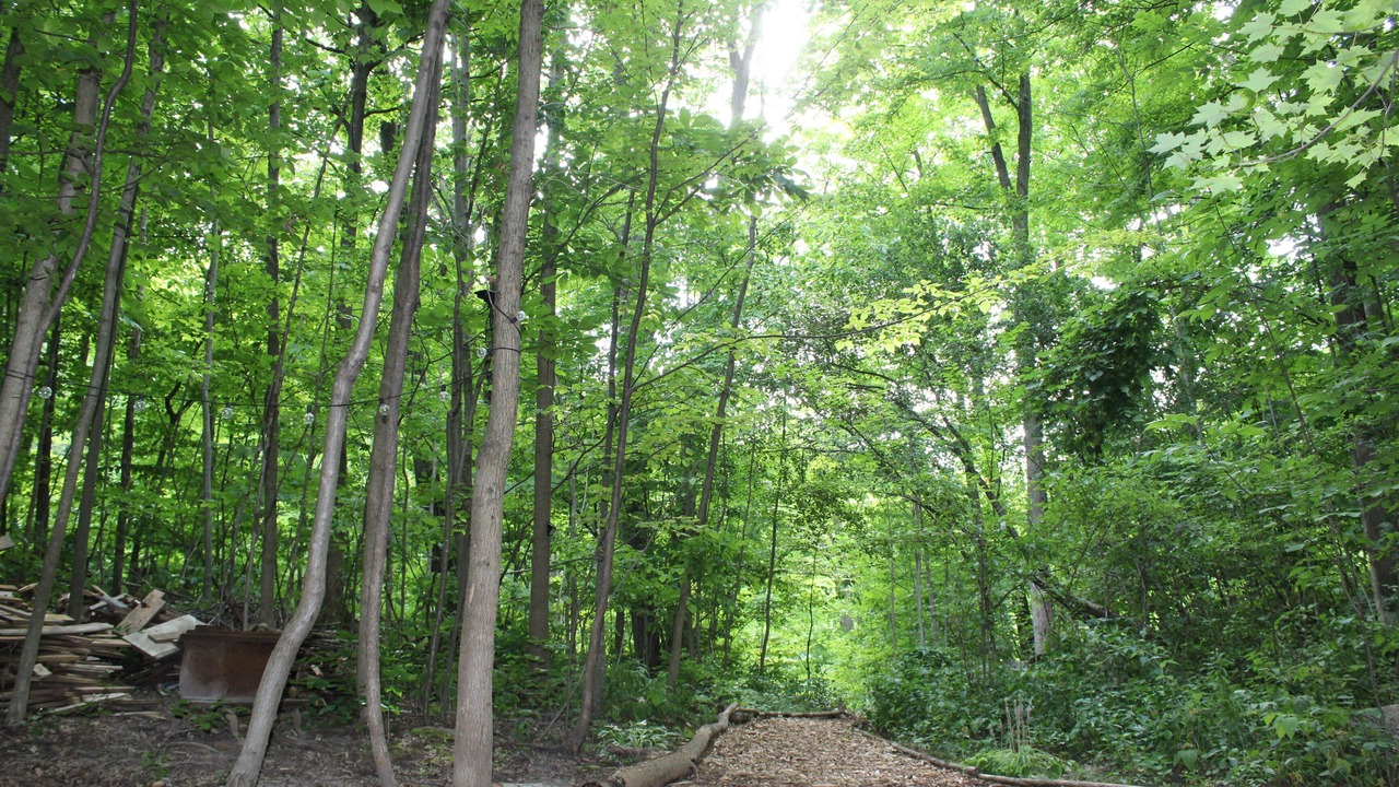 Photo of Outdoor in Burlington
