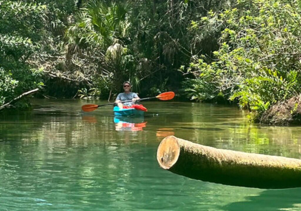 Photo of Others in Weeki Wachee Gardens