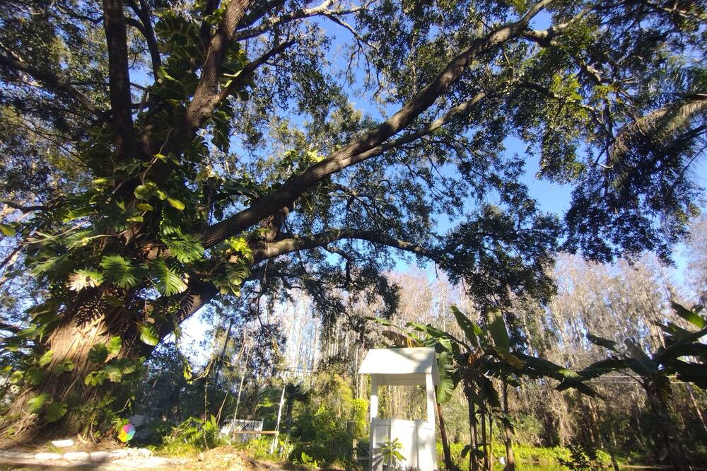Photo of Outdoor in New Port Richey