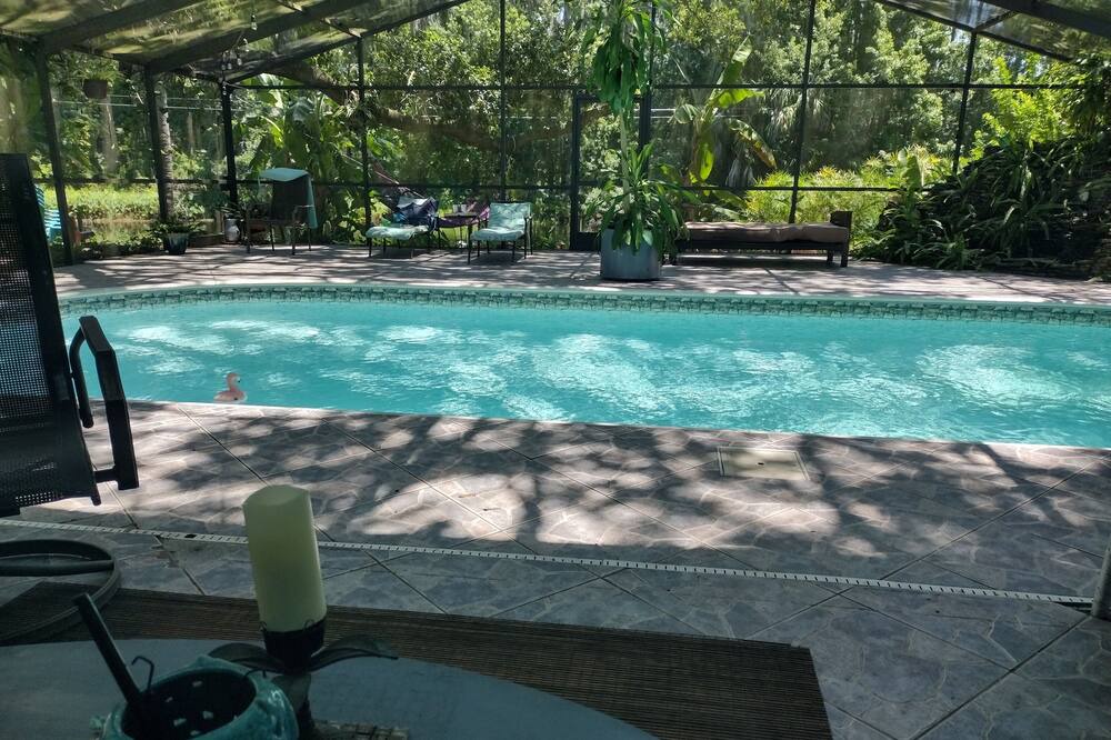 Photo of Outdoor in New Port Richey