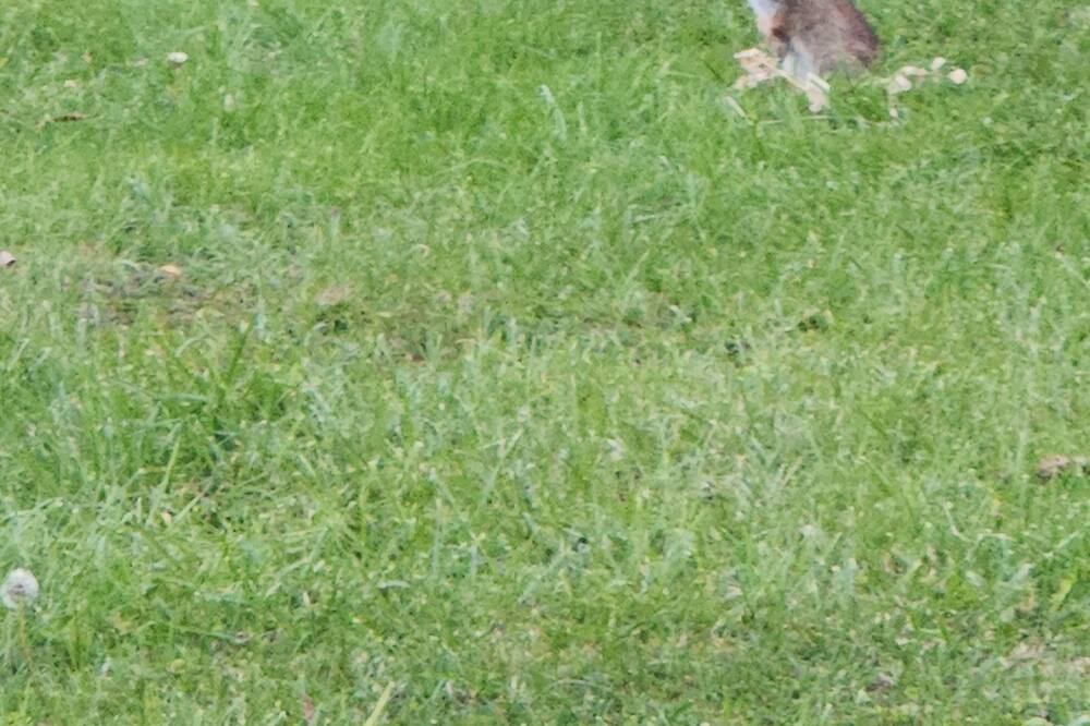Photo of Others in Innisfil