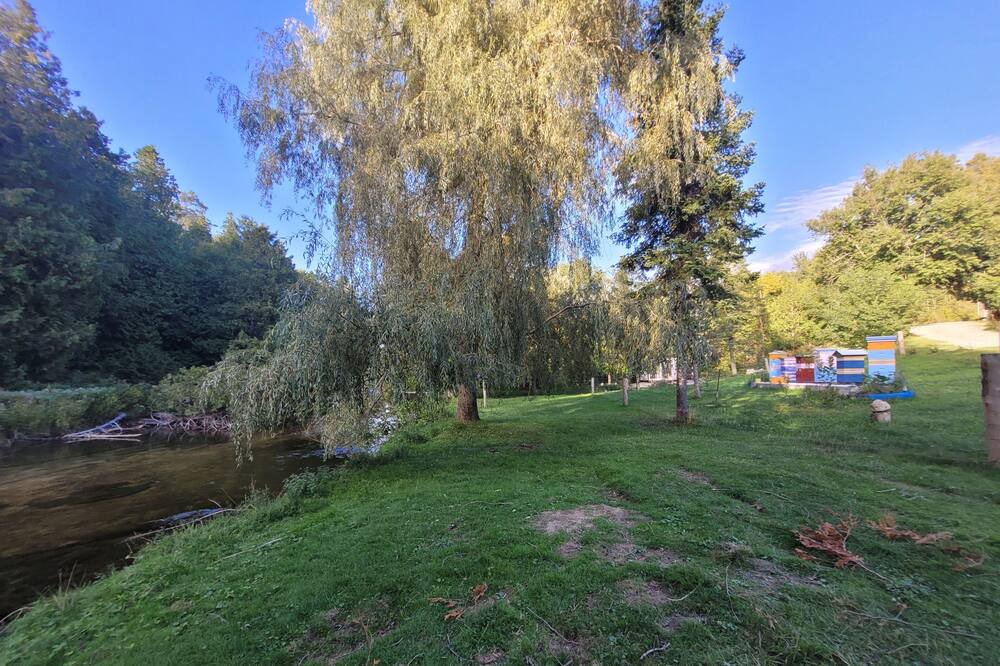 Photo of Outdoor in Markdale