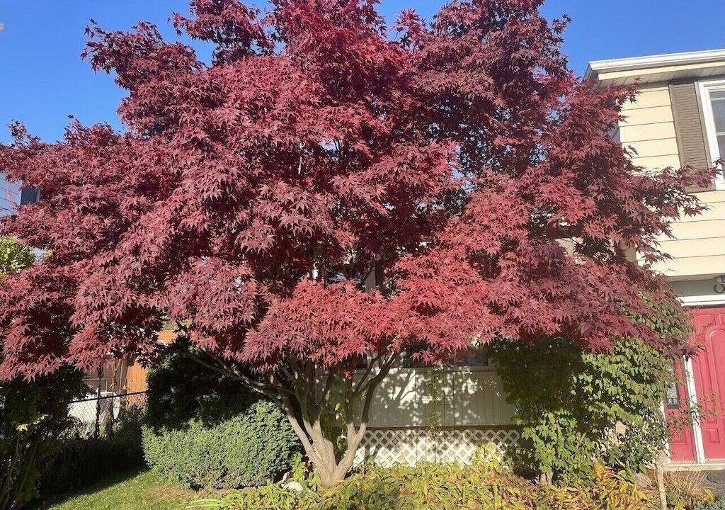 Photo of Outdoor in Brampton