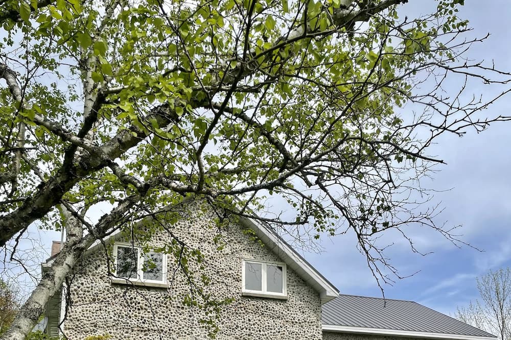 Photo of Outdoor in Tiny