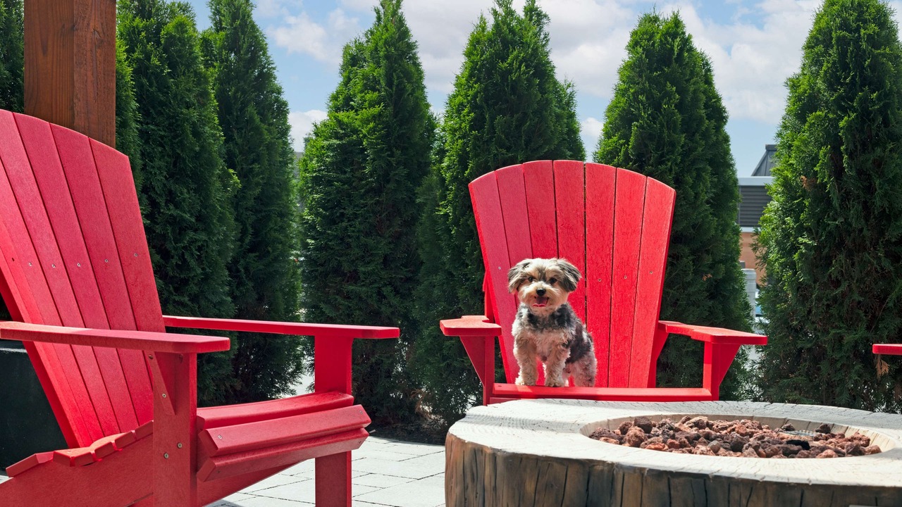 Photo of Patio Balcony in Huntsville