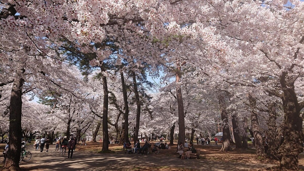 Photo of Outdoor in Kita Ward