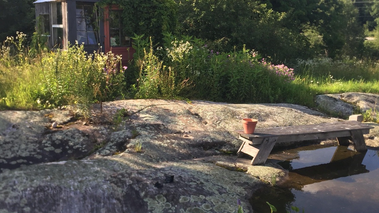Photo of Outdoor in Unorganized Centre Parry Sound