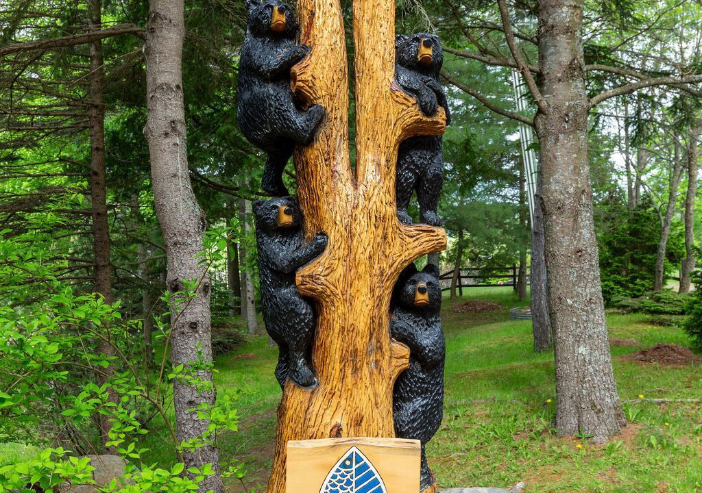 Photo of Outdoor in Huntsville