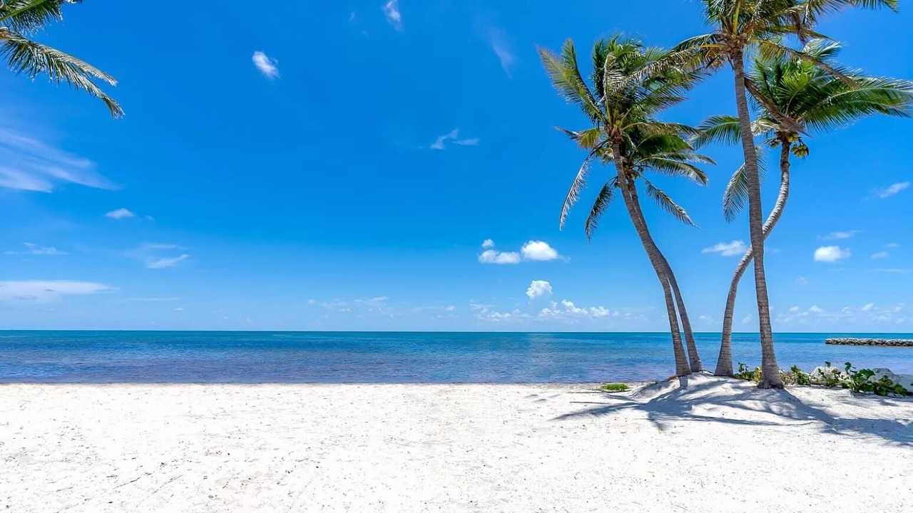 Photo of Others in Islamorada