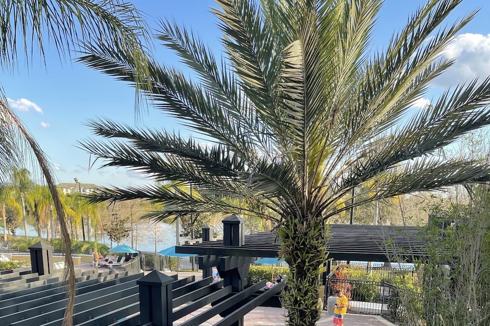 Photo of Outdoor in Florida Center