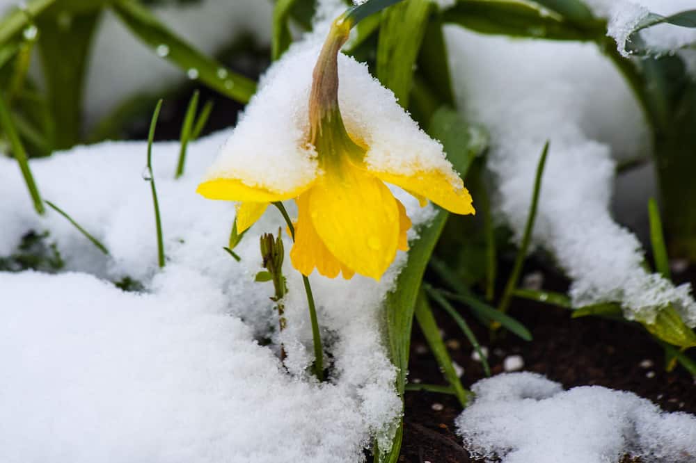 Photo of Outdoor in Joly