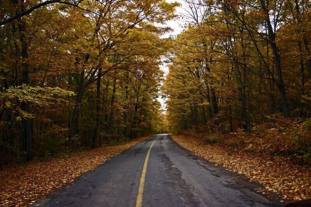 Photo of Others in Milford