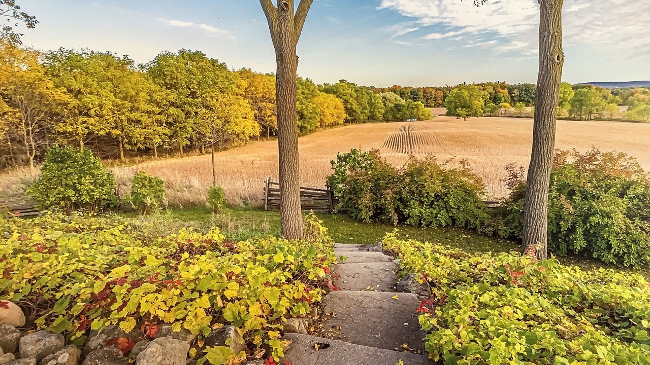 Photo of Outdoor in Halton Hills