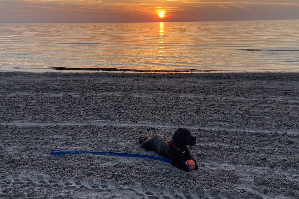 Photo of Others in Wasaga Beach