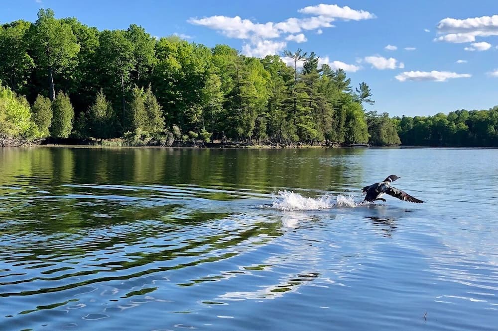 Photo of Others in Rideau Lakes