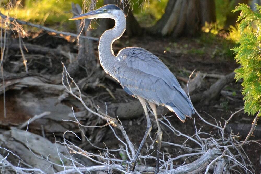 Photo of Others in Rideau Lakes