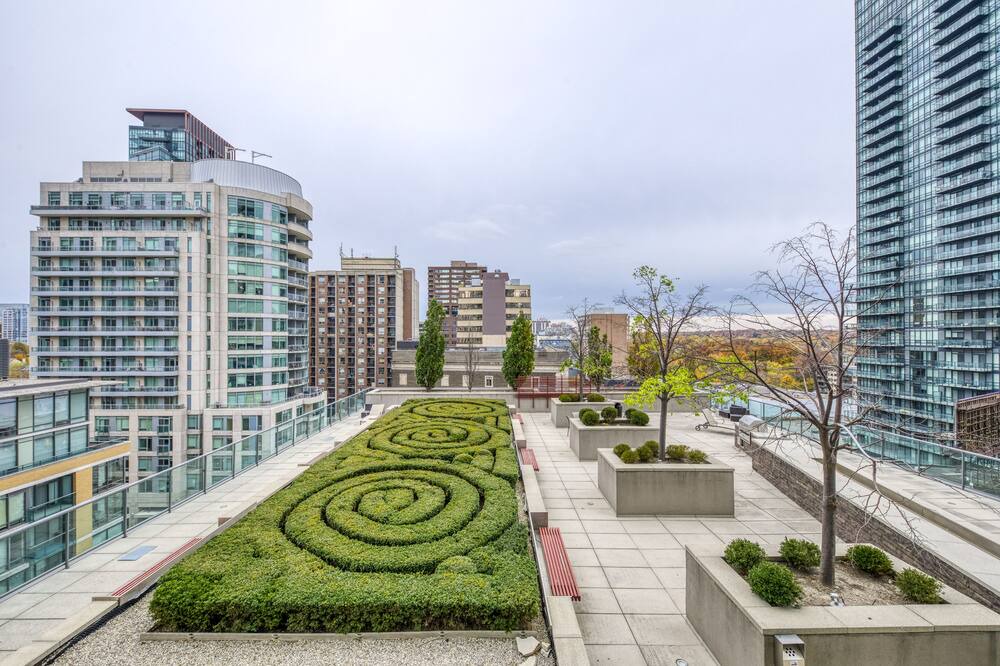 Photo of Others in Yorkville
