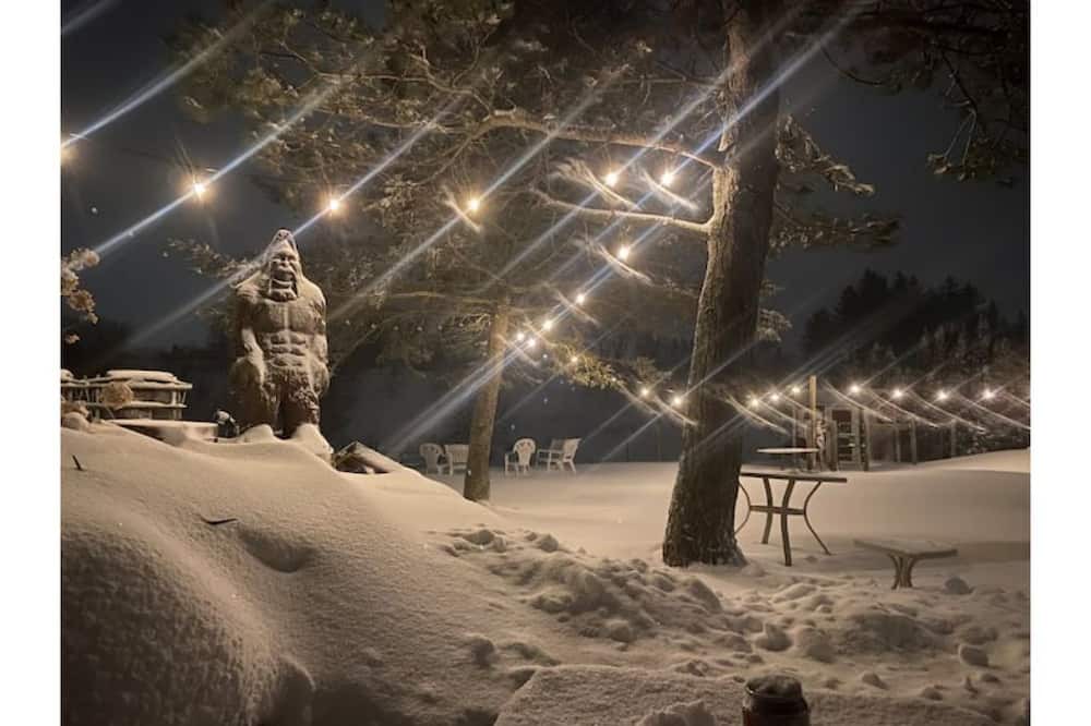 Photo of Others in Whitchurch-Stouffville
