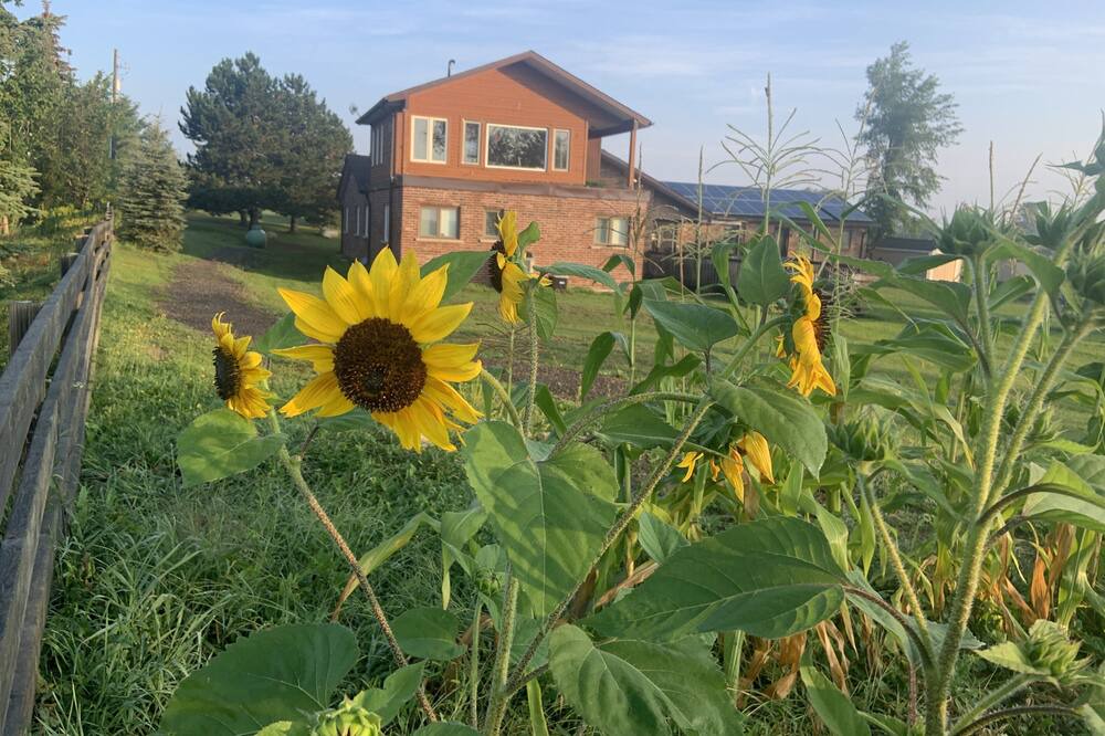 Photo of Outdoor in Caledon