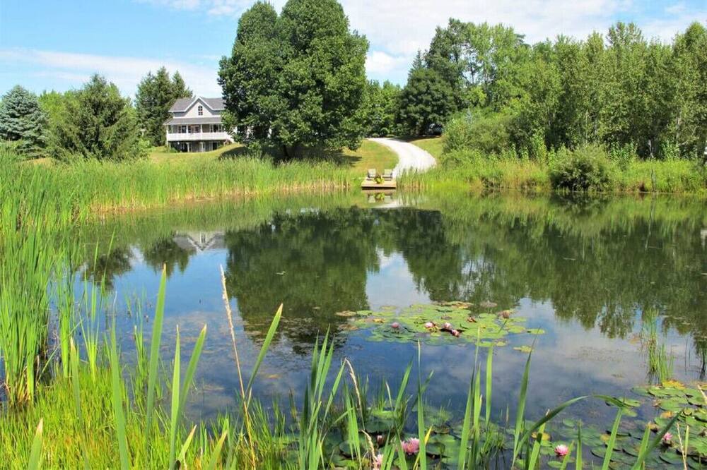 Photo of Others in Scugog