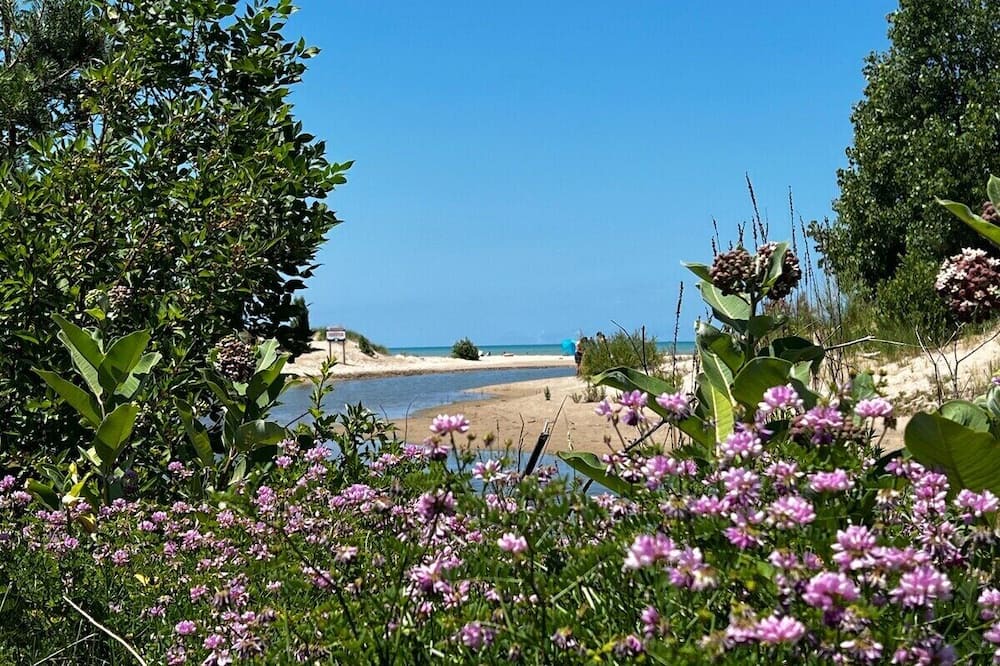 Photo of Outdoor in Port Franks