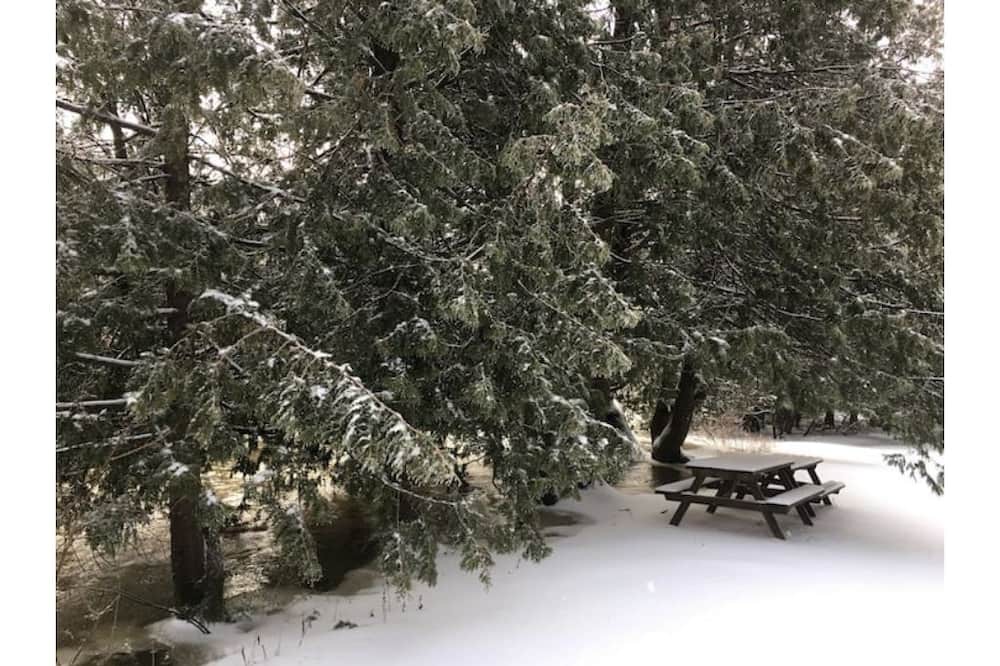 Photo of Outdoor in West Grey